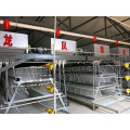 Good Price! Automatic Layer Cage